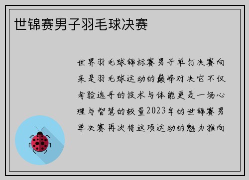世锦赛男子羽毛球决赛